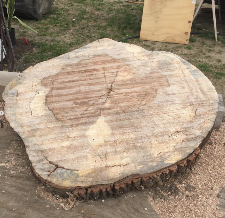 From a Spring Lake Heights Tree to a Maple Serving Board by Surfwood Solutions, Monmouth County, NJ
